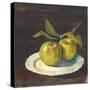 Green Apple I Dark Brown-Carol Rowan-Stretched Canvas