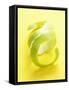 Green Apple Peel-null-Framed Stretched Canvas