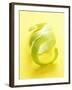 Green Apple Peel-null-Framed Photographic Print