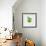 Green Apple-Sydney Edmunds-Framed Giclee Print displayed on a wall