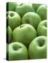 Green Apples-Iain Bagwell-Stretched Canvas