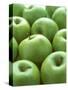 Green Apples-Iain Bagwell-Stretched Canvas