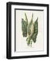 Green Arum-Gwendolyn Babbitt-Framed Art Print