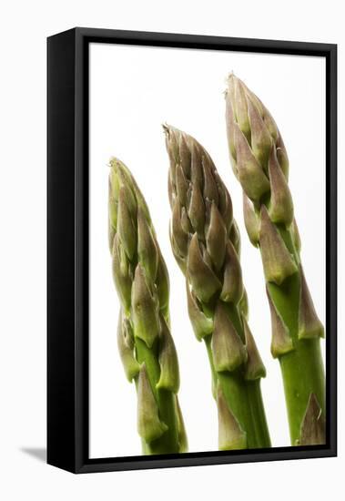 Green Asparagus Close-Up of Tips-null-Framed Stretched Canvas