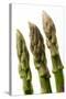 Green Asparagus Close-Up of Tips-null-Stretched Canvas