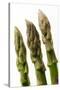 Green Asparagus Close-Up of Tips-null-Stretched Canvas