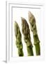 Green Asparagus Close-Up of Tips-null-Framed Photographic Print