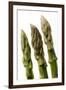 Green Asparagus Close-Up of Tips-null-Framed Photographic Print