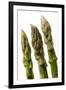 Green Asparagus Close-Up of Tips-null-Framed Photographic Print