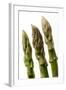 Green Asparagus Close-Up of Tips-null-Framed Photographic Print