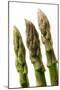 Green Asparagus Close-Up of Tips-null-Mounted Photographic Print