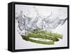 Green Asparagus Falling into Water-Kröger & Gross-Framed Stretched Canvas