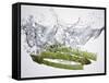 Green Asparagus Falling into Water-Kröger & Gross-Framed Stretched Canvas
