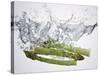 Green Asparagus Falling into Water-Kröger & Gross-Stretched Canvas