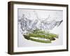 Green Asparagus Falling into Water-Kröger & Gross-Framed Photographic Print