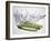 Green Asparagus Falling into Water-Kröger & Gross-Framed Photographic Print