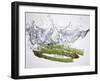 Green Asparagus Falling into Water-Kröger & Gross-Framed Photographic Print