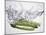 Green Asparagus Falling into Water-Kröger & Gross-Mounted Photographic Print