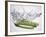 Green Asparagus Falling into Water-Kröger & Gross-Framed Photographic Print