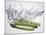 Green Asparagus Falling into Water-Kröger & Gross-Mounted Photographic Print