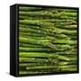 Green Asparagus Spears-Dave King-Framed Stretched Canvas