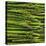 Green Asparagus Spears-Dave King-Stretched Canvas