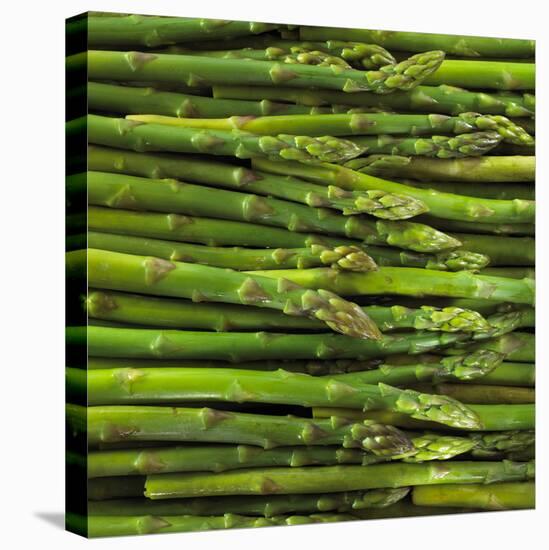Green Asparagus Spears-Dave King-Stretched Canvas