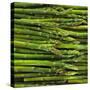 Green Asparagus Spears-Dave King-Stretched Canvas