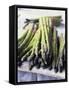 Green Asparagus-Philip Webb-Framed Stretched Canvas