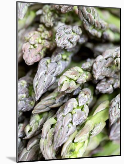 Green Asparagus-Frank Tschakert-Mounted Photographic Print