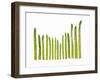 Green Asparagus-null-Framed Photographic Print