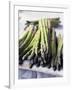 Green Asparagus-Philip Webb-Framed Photographic Print