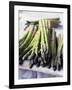 Green Asparagus-Philip Webb-Framed Photographic Print