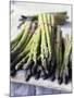 Green Asparagus-Philip Webb-Mounted Photographic Print