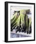 Green Asparagus-Philip Webb-Framed Photographic Print