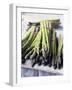 Green Asparagus-Philip Webb-Framed Photographic Print
