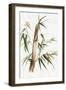 Green Bamboo II-Eva Watts-Framed Art Print