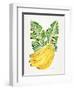 Green Bananas-Cat Coquillette-Framed Premium Giclee Print