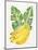 Green Bananas-Cat Coquillette-Mounted Premium Giclee Print