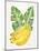 Green Bananas-Cat Coquillette-Mounted Giclee Print