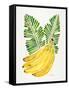 Green Bananas-Cat Coquillette-Framed Stretched Canvas