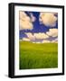 Green Barley Field and Clouds, Palouse, Washington, USA-Terry Eggers-Framed Photographic Print