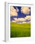 Green Barley Field and Clouds, Palouse, Washington, USA-Terry Eggers-Framed Photographic Print