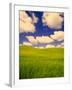 Green Barley Field and Clouds, Palouse, Washington, USA-Terry Eggers-Framed Photographic Print