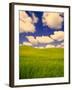 Green Barley Field and Clouds, Palouse, Washington, USA-Terry Eggers-Framed Photographic Print