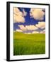 Green Barley Field and Clouds, Palouse, Washington, USA-Terry Eggers-Framed Photographic Print