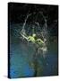 Green Basilisk or Plumed Basilisk Running on Water (Basiliscus Plumifrons), Costa Rica-Andres Morya Hinojosa-Stretched Canvas