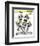 Green Bay Packers 2013 Team Composite-null-Framed Photographic Print