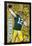 GREEN BAY PACKERS - A RODGERS 17-null-Framed Poster