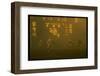 Green Bay Packers' Paul Hornung Eluding Baltimore Colt's Defense to Score 5th Touchdown of Game-Art Rickerby-Framed Photographic Print